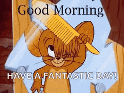 Funny Morning Jerry Have A Fantastic Day GIF