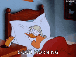 Funny Morning Jumpy Donald Duck GIF