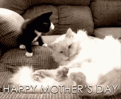 Funny Mothers Day GIF