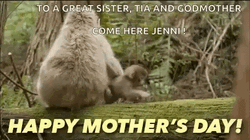 Funny Mothers Day Monkey GIF