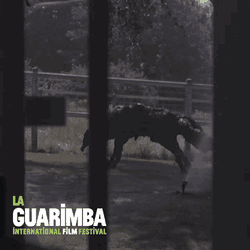 Funny Movie GIF