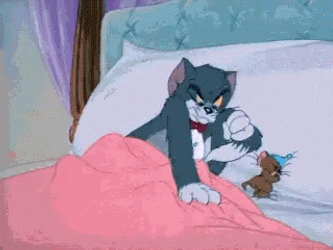 Funny Moving Jerry With Tom On Bed GIF