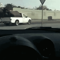 Funny Moving Out Car Fail GIF