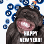 Funny New Year Laughing And Grinning Monkey GIF