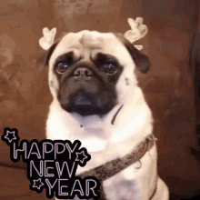 Funny New Year Reindeer Pug Face GIF 