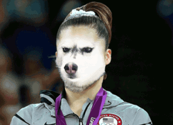 Funny Not Impressed Wolf  GIF