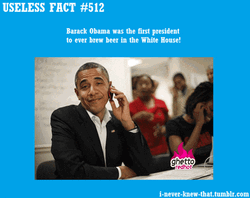 Funny Obama Useless Facts GIF