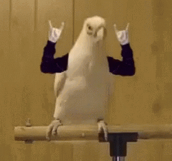 Funny Party Parrot Rocker Sign Head Banging GIF
