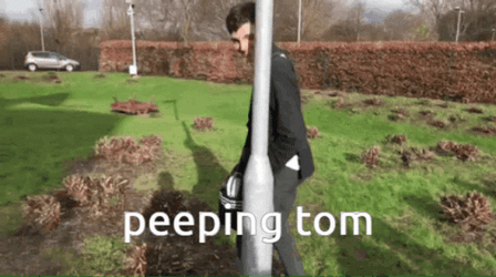 Funny Peeping Tom Hiding Behind Pole GIF