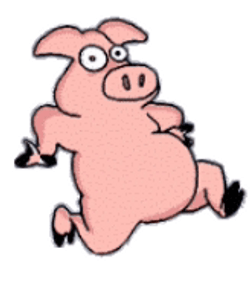 Funny Pig Running GIF