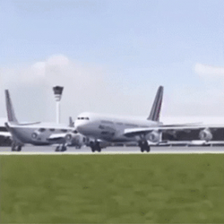 Funny Plane Flapping Its Wings Like A Bird GIF