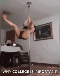 Funny Pole Dancing Why College Is Important Meme GIF