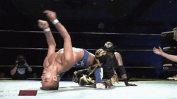 Funny Pro Wrestling Meme GIF