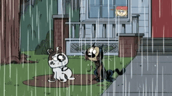 Funny Rain The Loud House Animated Characters Dance