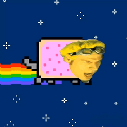 Funny Rainbow Cat Face Swap GIF