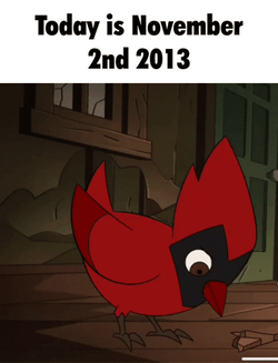 Funny Red Bird November 2Nd GIF