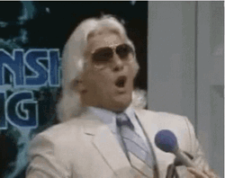 Funny Ric Flair Wooo GIF