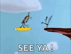 Funny Roadrunner Coyote See Ya GIF