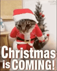 Funny Santa GIF