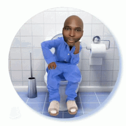 Funny Scratching In Toilet Meme GIF