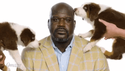 Funny Shaquille O'Neal Puppy Lick GIF
