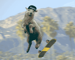 Funny Sheep Skateboard Meme GIF