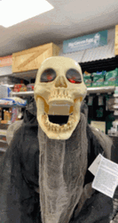 Funny Skeleton Opening Its Mouth GIF