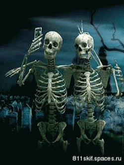 Funny Skeleton Taking Selfies GIF