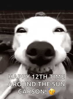 Funny Smile GIF