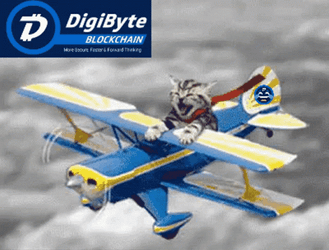 Funny Smiling Cat Riding Happily On Toy Plane GIF