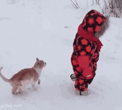 Funny Snow GIF