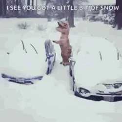 Funny Snow Dinosaur Cleaning Car GIF