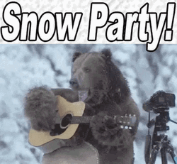 Funny Snow Party Bear Playing Guitar GIF
