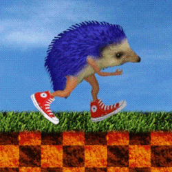 Funny Sonic Running Hedgehog With Shoes GIF