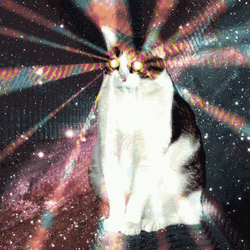 Funny Space Cat Psychic Powers Stars