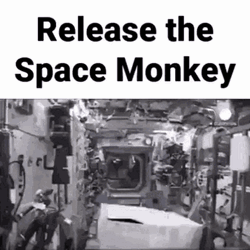 Funny Space Monkey Meme
