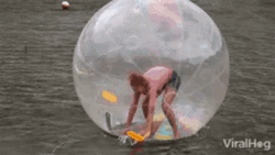 Funny Sphere Human Bubble  GIF