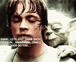 Funny Star Wars Yoda And Luke Skywalker Interaction GIF