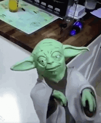 Funny Star Wars Yoda Interaction GIF