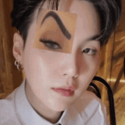 Funny Suga And Cat Eyebrows Up  GIF