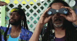 Funny Synchronized Spying Thru Binoculars GIF