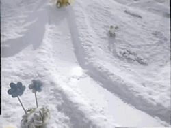 Funny Teletubbies Laa Laa Snow Slide GIF