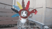 Funny Thanksgiving Cat With Turkey Head GIF