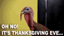 Funny Thanksgiving Nervous Turkey Meme GIF