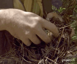 Funny The Office Lunch Time Catch  GIF