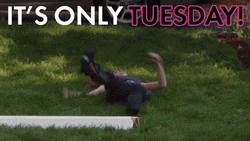 Funny Tuesday Laying On Ground GIF