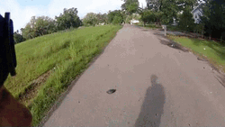 Funny Turtle Street Running Fast GIF