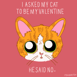 Funny Valentine Cute Cat GIF