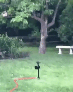 Funny Water Sprinkler Rotation Fail GIF