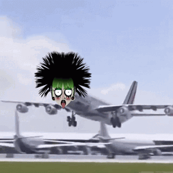 Funny Weird Burton Plane  GIF